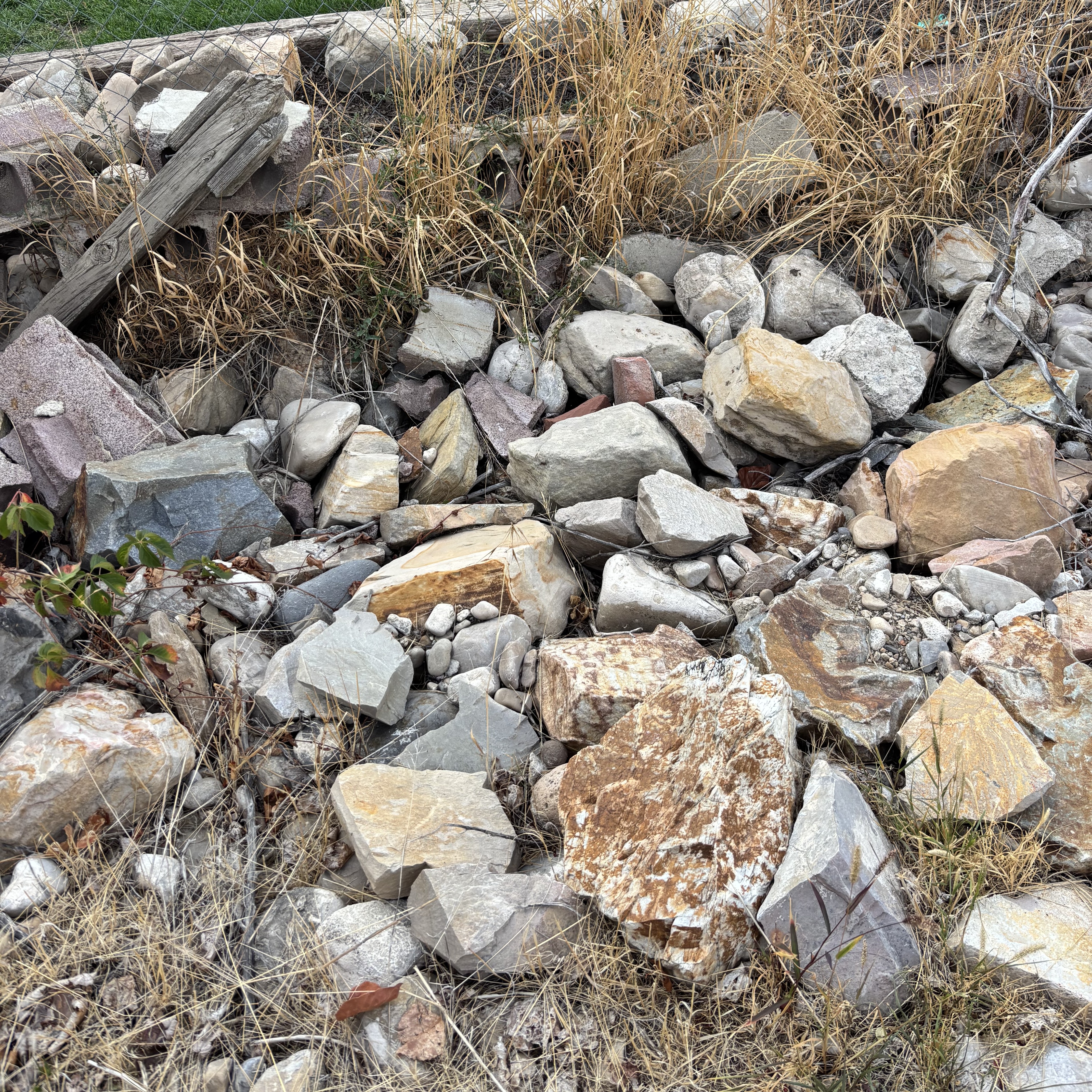 Yard debris hauling in Provo Utah